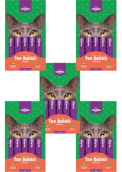 5X14 gr 5 Paket Ton Balıklı Somonlu Sıvı Ödül Maması