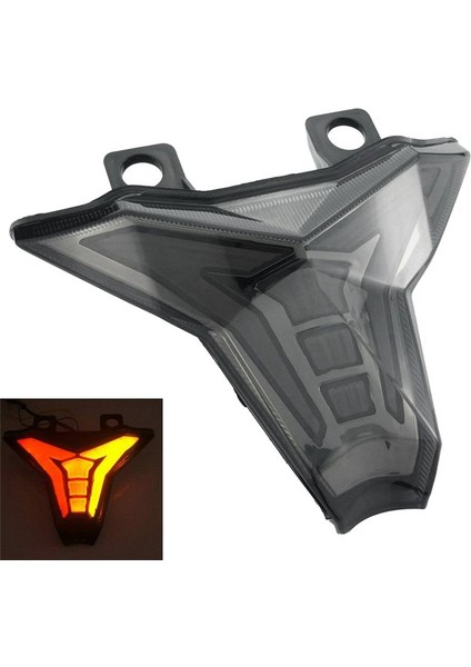Motosiklet LED Arka Işıkları Arka Fren Lambası Dönüş Sinyalleri Meclisi Kawasaki ZX10R Ninja 2016-2018 Z1000 2014-18 (Yurt Dışından) indirimleri