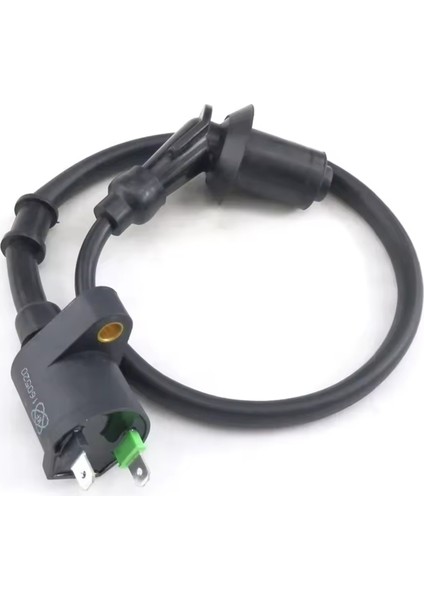 50CC 125CC 150CC Gy6 Çin Scooter Motosiklet Atv Ac Ateşlemeli Ateşleme Bobinli 1 Set Scooter Sınırsız Cdı (Yurt Dışından) fırsatları