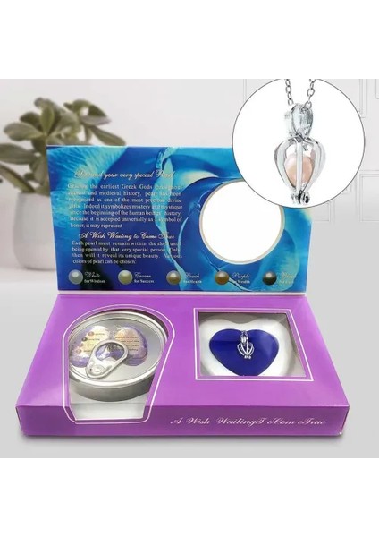 Gerçek Istiridye İçinde Inci Kolye