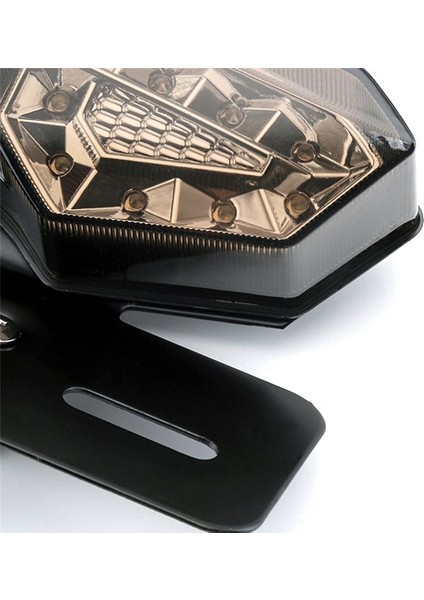 Motosiklet Için Yeni Kuyruk Lambası Tüm Arazi Plaj Bisikleti 12V LED Büyük Kelebek Lisans Fren Lambası Duman Gri Lensler (Yurt Dışından) indirimleri