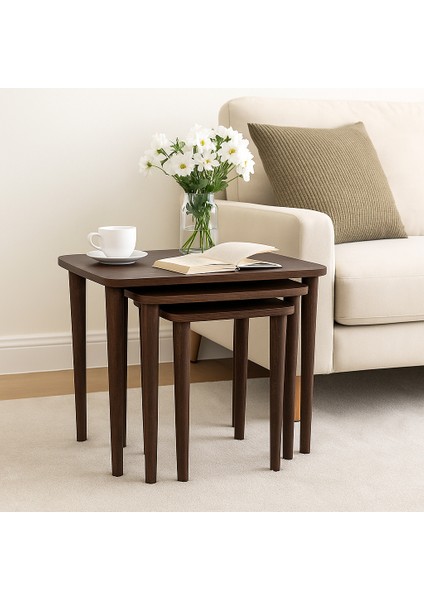 Yuvarlatılmış Kenarlı Zigon Sehpa, Ceviz fırsatları