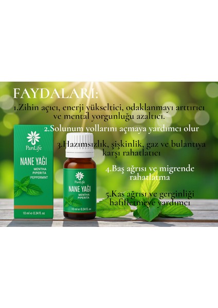 Panlıfe Nane Yağı 10 ml %100 Saf Analiz Sertifikalı ( Markamız Eczacı Kuruluşudur.) modelleri