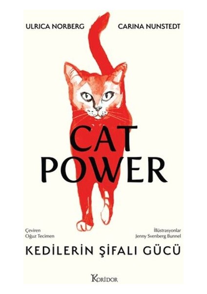 Kedilerin Şifalı Gücü