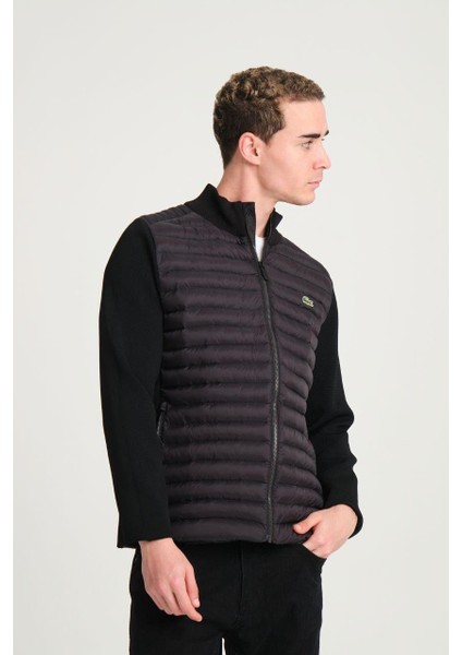 Siyah Slim Fit Mevsimlik Mont fiyatları