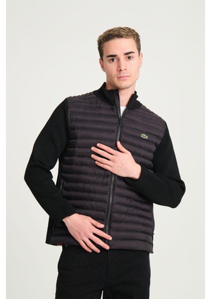 Siyah Slim Fit Mevsimlik Mont fırsatları