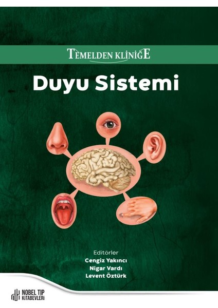 Temelden Kliniğe Duyu Sistemi
