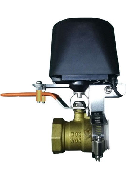 Tuka Akıllı Wifi Su Valfı Gaz Vanası Bluetooth Zamanlayıcı Bahçesi Alexa Için Akıllı Musluk (Yurt Dışından) fiyatları