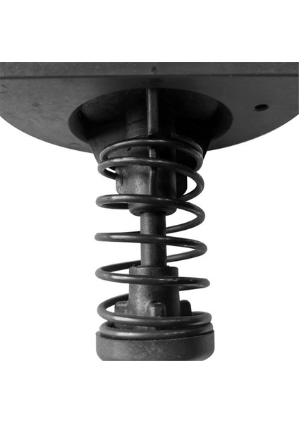 77707-0001 Pentair Mastertemp/sta-Rite Max-E-Term Havuz ve Spa Isıtıcıları (Yurt Dışından) modelleri