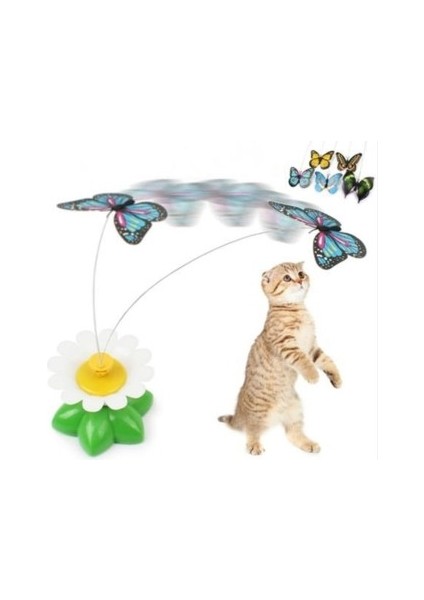 Hareketli Pilli Kelebek Kedi Oyuncağı fırsatları