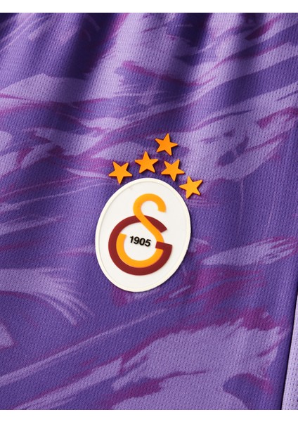 Galatasaray Puma 2025/2026 Kaleci Mor Şort 78074581 indirimleri