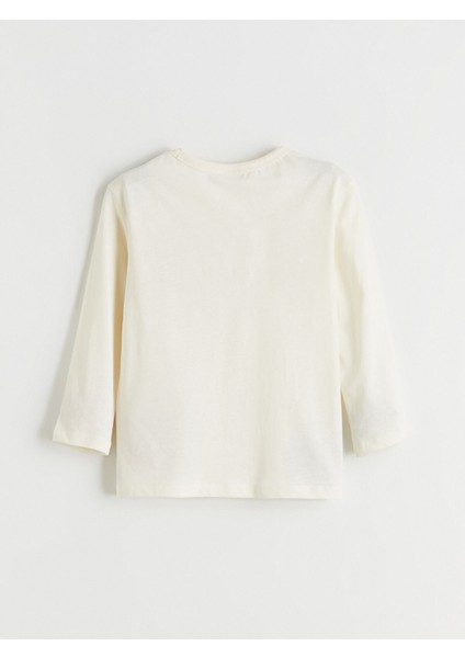 Yeni Sezon Dinozor Baskılı Erkek Çocuk Tişört indirimleri