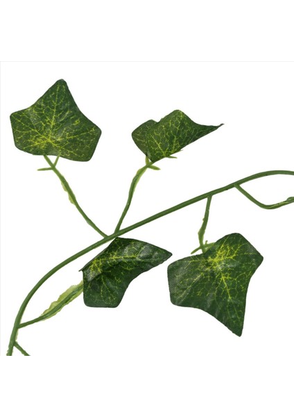 3pcs 2m 6 6 Feet Yapay Sarmaşık Yaprak Yaprak Çiçek Bitkileri Çelenk Bahçe Dekorasyonu 2m (Tatlı Patates Yaprağı) (Yurt Dışından) indirimleri