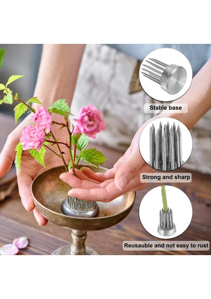 12PCS Çiçek Kurbağası Yuvarlak Paslanmaz Çiçek Kurbağaları Çiçek Aranger Sabit Alet Pim Kurbağası (Gümüş 0 6 Inç) (Yurt Dışından) fırsatları