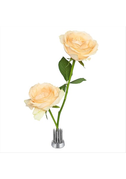 12PCS Çiçek Kurbağası Yuvarlak Paslanmaz Çiçek Kurbağaları Çiçek Aranger Sabit Alet Pim Kurbağası (Gümüş 0 6 Inç) (Yurt Dışından) indirimleri