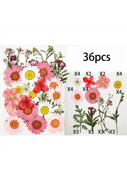108 Pcs Gerçek Kurutulmuş Presli Çiçekler Yaprak Yaprakları Dıy Mum Reçine Mücevher Çivi Kolye El Sanatları Yapmak Sanat Dekor-Pink Yapmak (Yurt Dışından) modelleri