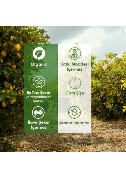 3'lü Organik Zerdeçallı Içecek Shot 60 ml fiyatları