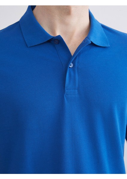 Yeni Sezon Polo Yaka Kısa Kollu Pike Erkek Tişört modelleri