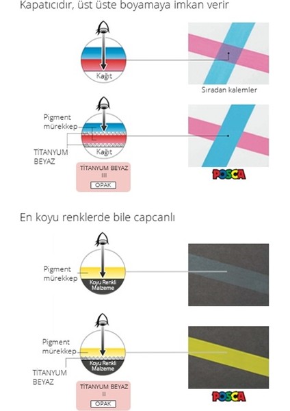 Pc-5m 6’lı Kalem Seti - Orman ve Toprak Tonları