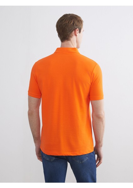 Yeni Sezon Polo Yaka Kısa Kollu Pike Erkek Tişört fırsatları