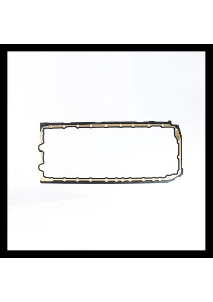 Bmw Karter Contası N52 N55 [E87 E90 X5:E70>F01 X3:F25 X5:F15]