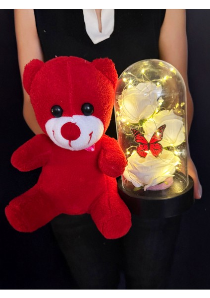 Kiz Arkadasa Hediye 3 Beyaz Güllü Kelebekli Işıklı Fanus ve 25CM Kırmızı Ayıcık fiyatları