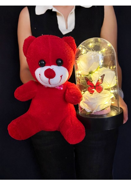 Kiz Arkadasa Hediye 3 Beyaz Güllü Kelebekli Işıklı Fanus ve 25CM Kırmızı Ayıcık modelleri