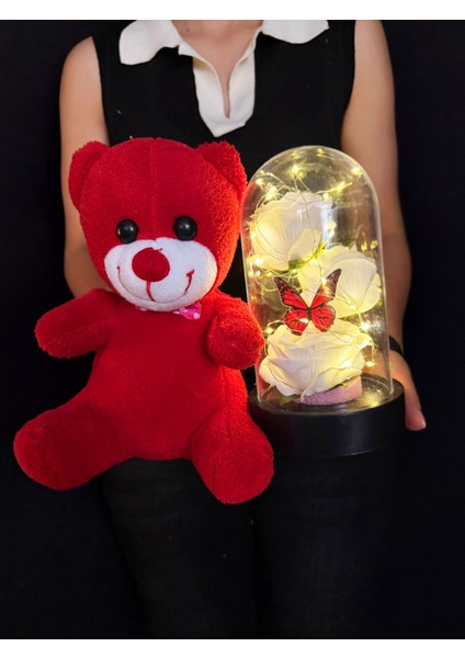 Kiz Arkadasa Hediye 3 Beyaz Güllü Kelebekli Işıklı Fanus ve 25CM Kırmızı Ayıcık fırsatları