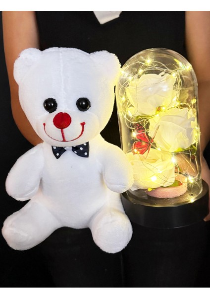 Sevgiliye Hediyeler - 25CM Beyaz Ayıcık ve Kelebekli Beyaz Güllü Işıklı Fanus modelleri