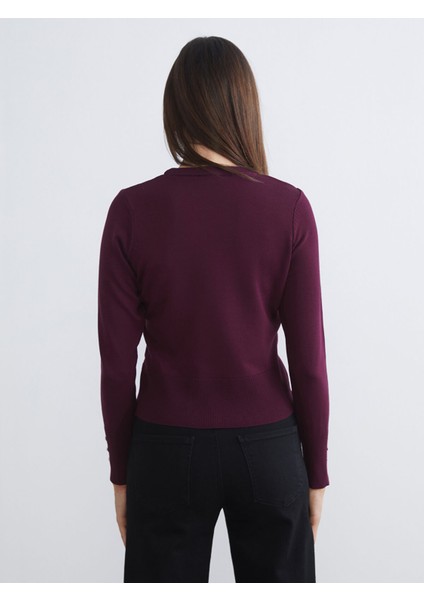 Yeni Sezon Bisiklet Yaka Kadın Triko Kazak fırsatları