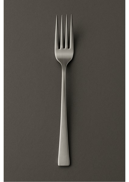 12 Parça Paslanmaz Çelik Yemek Çatal ve Kaşık Seti | 20 cm | Günlük & Endüstriyel Kullanım modelleri