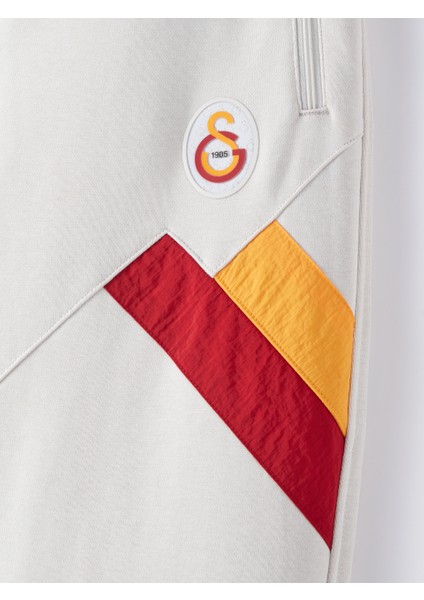 Galatasaray Erkek Eşofman Alt E251113 indirimleri