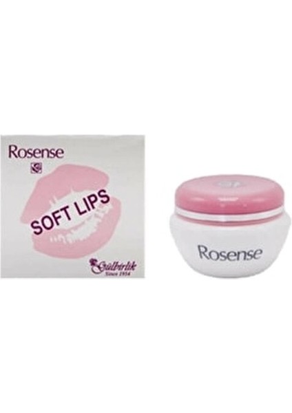 Dudak Vazelini Kurumuş Dudaklar İçin Yumuşatıcı 5 Ml Tüm Cilt Tiplerine Uygun fiyatları