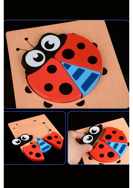 Uğur Böceği Şeklinde Ahşap Bultak Oyun Seti Eğitici Öğretici Oyun Set Bultak Puzzle Oyuncak