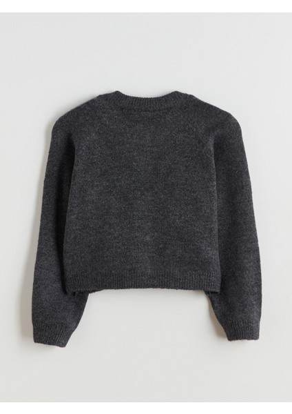 Yeni Sezon Bisiklet Yaka Kız Çocuk Triko Hırka modelleri