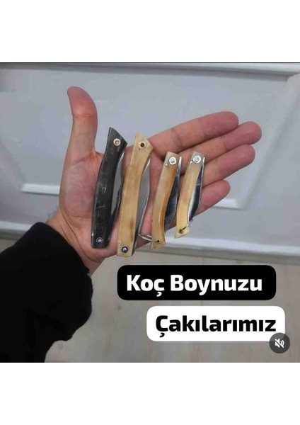 Koç Boynuzu Saplı Çelik Çakı