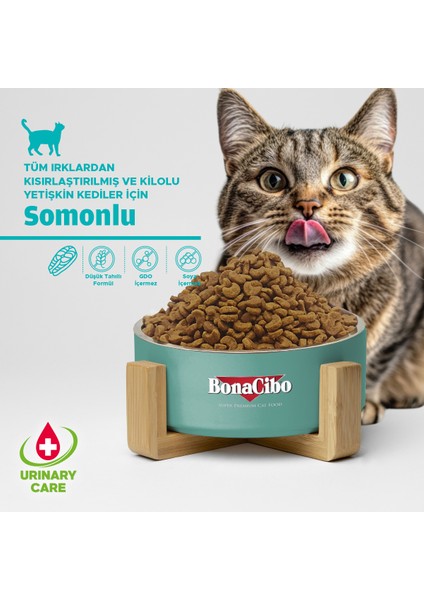 Adult Cat Sterilised Somonlu Kısırlaştırılmış Yetişkin Kedi Maması, 2 Kgx2 Adt, Tüm Irklar, Şekersiz fiyatları