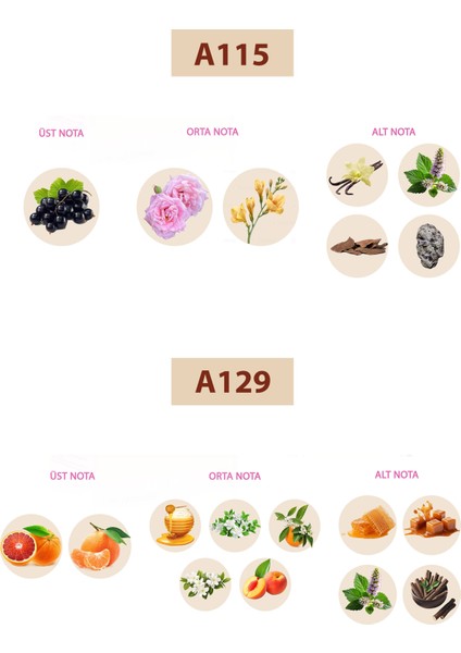 Bacera A115 Floral Kadın Parfüm 50ML Edp A129 Floral Kadın Parfüm 50ML Edp fiyatları