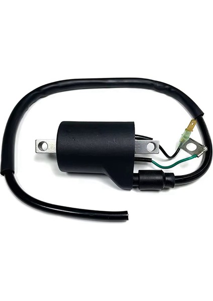 Yeni Yüksek Kaliteli Motosiklet Ateşleme Bobini Yüksek Gerilim Paketi Yüksek Gerilim Bobini Ktm Sxf Xcf Excf Husqvarna Gasgas Için (Yurt Dışından)