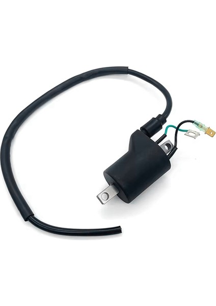 Yeni Yüksek Kaliteli Motosiklet Ateşleme Bobini Yüksek Gerilim Paketi Yüksek Gerilim Bobini Ktm Sxf Xcf Excf Husqvarna Gasgas Için (Yurt Dışından) indirimleri