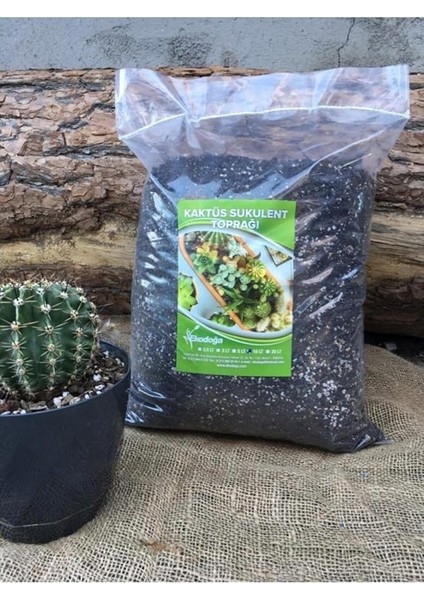 Kaktüs Toprağı 10 Lt Özel Karışım Sukulent Toprağı Aloe Vera Toprağı Kaktüs Harcı Teraryum Toprağı