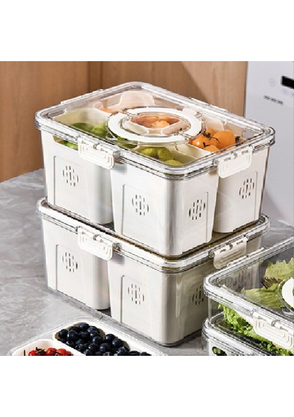 Büyük Piknik Buzdolabı Için Meyve Tepsisi Gıda Depolama Mutfak 4 Izgaralar Şeffaf Atıştırmalık Kutusu (Yurt Dışından) fırsatları