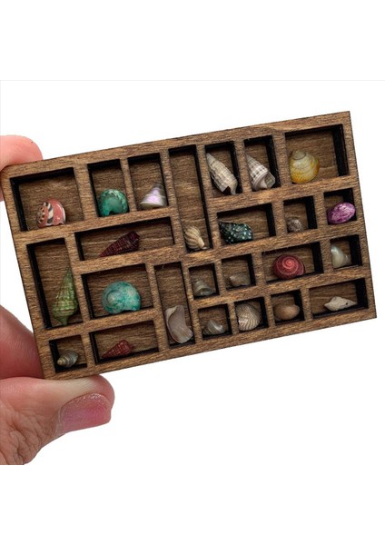 3x 1 12 Minyatür Biblo Raf Minyatür Kristal Raf Dollhouse Minyatür Dekor Yazıcılar Tepsi Minyatür (Yurt Dışından) indirimleri