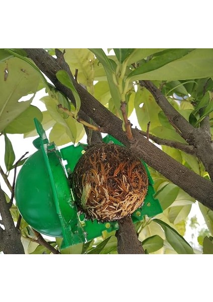 Adet Bitki Köklendirme Topu, 20 Adet Klips, Köklendirme Hormonu modelleri