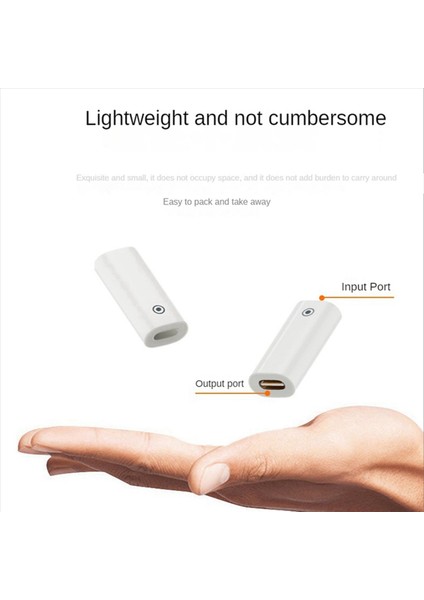 Elma Kalem Için 2x iPad 1 Nesil Şarj Adaptör Aydınlatma Dişi Dönüştürücü Aydınlatma Dişi Ila Aydınlatma Dişi (Yurt Dışından) fırsatları