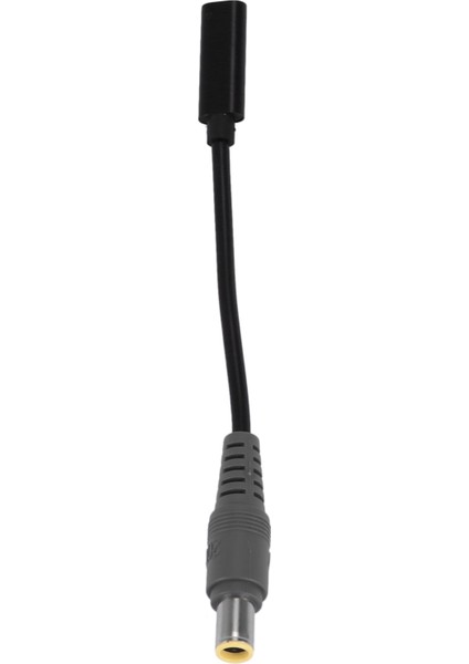 2x USB Tip C Dişi Pd Lenovo Thinkpad X61S Için R61 T410 T420S T400 T430 SL400 E425 Dizüstü Bilgisayar Adaptörü (Yurt Dışından) modelleri