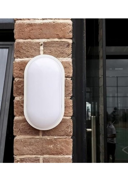 20W Oval Beyaz LED Nemliyer Armatür – IP65 Su Geçirmez Tavan/duvar Lambası, 6500K Beyaz Işık, 2000 Lümen, 27X16.7 Cm, Iç ve Dış Mekan Kullanıma Uygun, Banyo Balkon Bahçe Aydınlatması indirimleri