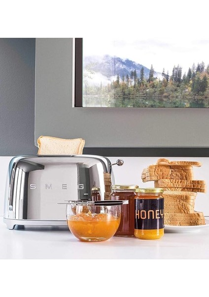 TSF01SSEU Ekmek Kızartma Makinesi 2x2, Krom indirimleri
