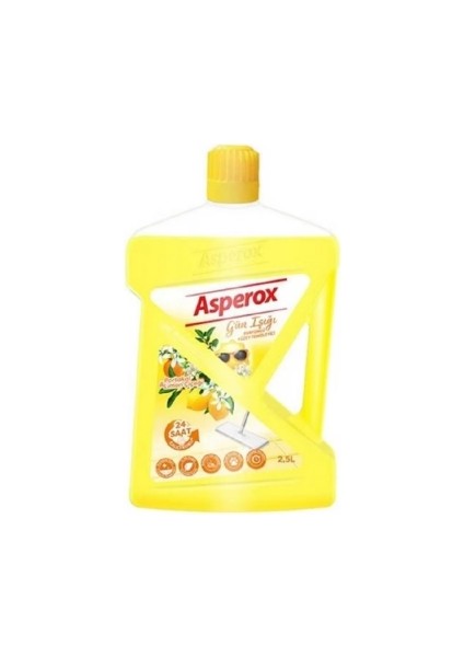 Yüzey Temizleyici 2,5l Gün Işığı 4 Adet