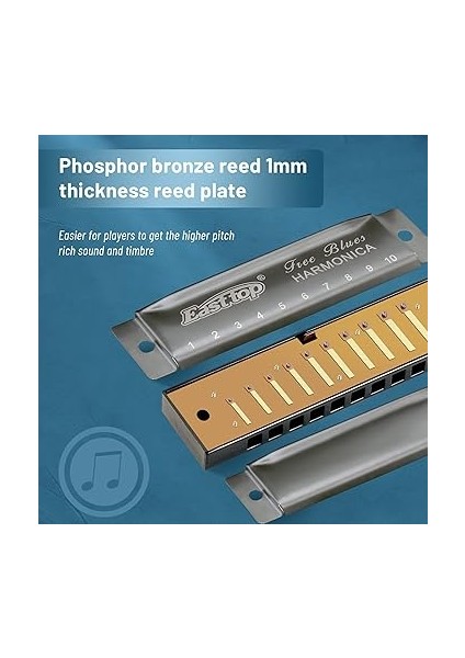 Top Mızıka C, Diatonik Mızıka, Mavi, 10 Delikli, Profesyonel Diatonic Blues Harmonica, Profesyonel Oyuncular, Yeni Başlayanlar, Öğrenciler, Yetişkinler Için Hediye Olarak modelleri